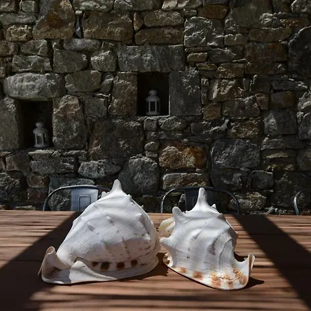 Villa Amallini Mykonos Playa Super Paradise