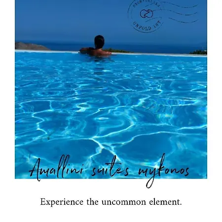 Amallini Mykonos Super Paradise Beach (Mykonos)