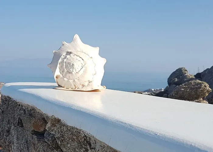 Vila Amallini Mykonos *